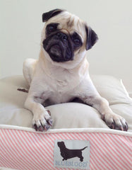 Hamptons Bed