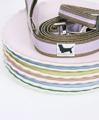 Parfait Stripe Collar/Lead