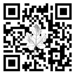 Eco Code - Women's