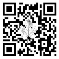 Eco Code - Men's